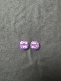 Item thumbnail for item 51ee2ed0-0847-40d2-bda8-0ec8ad7d85e7