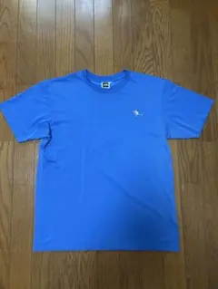 The North Face 青 Tシャツ