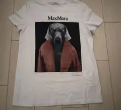 2026年最新】 MAXMARA tシャツ dogの人気アイテム - メルカリ