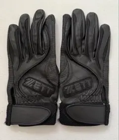 Item thumbnail for item 8a3fbe8a-d4cc-40c2-a080-6d2933db90ca