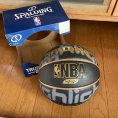 SPALDING NBA Highlight ボール ブラック/ゴールド