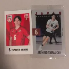 Item thumbnail for item b4868b0d-ffa4-40ae-86cf-91443bf0c953