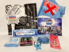 EXILE FANTASY LIVE TOUR 2010 ライブグッズセット