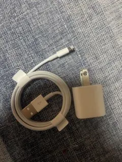 LightningケーブルとUSB充電器セット