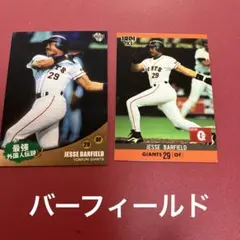 user_2b7e10ac様 リクエスト 2点 まとめ商品