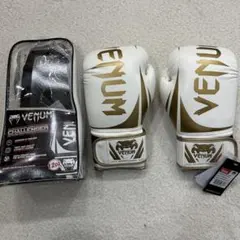 Item thumbnail for item 2c2548a7-e1b5-4c4e-849b-3164dccf9a2a