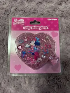 ディズニーパルパルーザ　ミニーのファンダーランド　スライドミラー