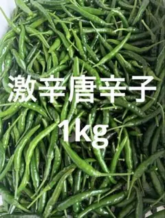 サンクス❗8kg 限定発売品　激辛青唐辛子 サンクス❗1kg 限定発売品 激辛青唐辛子 - メルカリ