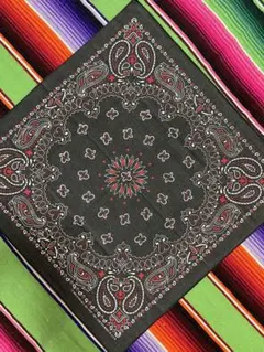 【ジョニー・ベップ 様専用】⑧④⓪90s USA製 バンダナ HAV-A-HAN