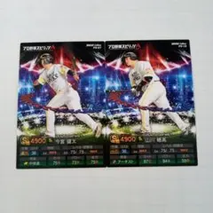 Item thumbnail for item 70af039c-3db4-4cf6-8770-3d0dada85685