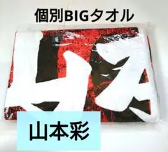 NMB48 AKB48 山本彩 グッズまとめ売り レア さや姉 2026年最新】さや姉の人気アイテム - メルカリ