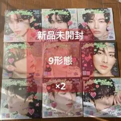 NEVER SAY NEVER 新品未開封 9形態 2セット (18枚)