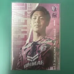 Item thumbnail for item 00518f20-2c5c-4501-b428-e0b405cfe003