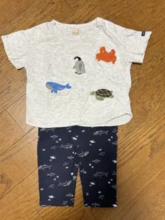 petit main Tシャツとレギンスセット