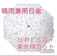 Item thumbnail for item 3abb9060-2b0a-4f7c-801f-c9babbea3c00