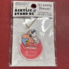 スヌーピー　アクスタ　キーホルダー　ボールチェーン付き　SNOOPY