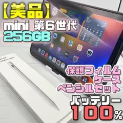 美品】BT100％ 256GB 11世代 充電＋フィルム＋ケース＋ペン 203 - メルカリ