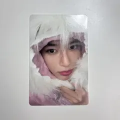 nct wish シオン タレントカード