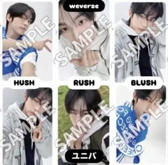 TWS ドフン NO TRAGEDY weverse ユニバ 特典 6枚 - メルカリ