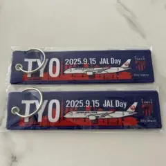 FC東京　フライトタグ　JAL 非売品　ノベルティ　2点セット
