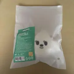 バムグッ アイドル