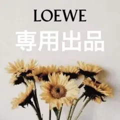 韓国/枯れない花/モールフラワー専用出品