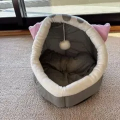 Item thumbnail for item 7b49a31a-7272-47f2-8dd5-203e86095b7e