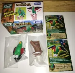 アニアキングダム　エディ(オオハナインコ)のサムネイル