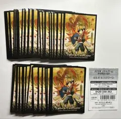 残1◇匿名配送◇ヒビキ&バクフーン ポケモンカード デッキシールド