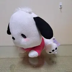 ポチャッコ とってもおおきな くつろぎぬいぐるみ　サンリオキャラクターズ