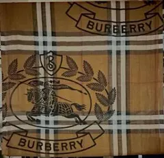 Item thumbnail for item 611feb43-5dd2-4ad0-8c93-35c9d295716b