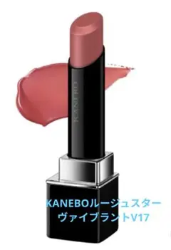 KANEBOルージュスターヴァイブラントV17のサムネイル