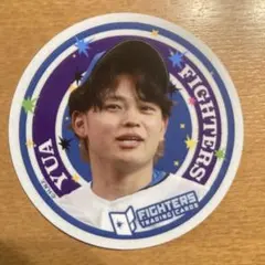 FFES 2025 リアルガチャ　ファイターズトレカステッカー　田宮裕涼