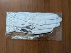 フェイビーヤオのグローブ