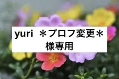 yuri ＊プロフ変更＊ 専用CELFORD セルフォード ストレッチパンツのサムネイル