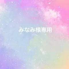 みなみ様専用