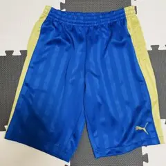 美品！Puma ストライプショートパンツ 青と黄色　M
