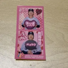 長岡秀樹 JINGU STADIUM 2026記念グッズ