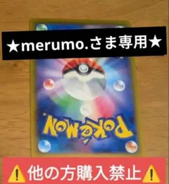 ★merumo.さま専用★⚠️他の方購入禁止⚠️
