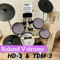 2026年最新】roland hd-1の人気アイテム - メルカリ