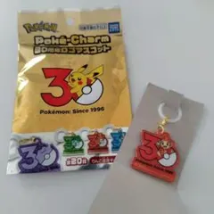 ポケモン ポケチャーム30周年ロゴマスコット ヒコザル めじるし