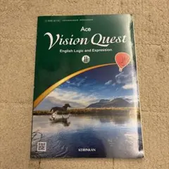 2026年最新】vision quest iiの人気アイテム - メルカリ