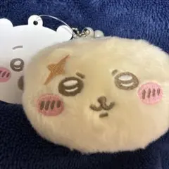 치이카와 ミニプラがまぐち 해달