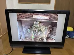 TOSHIBA REGZA 液晶テレビ 32インチ【梱包発送たのメル便】 - メルカリ