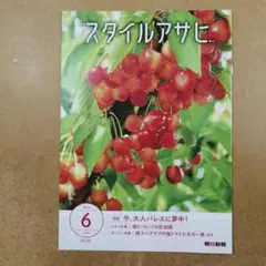 スタイルアサヒ 2026年6月号 No.201 朝日新聞　　　　　　615376