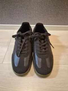 ジャーマントレーナー