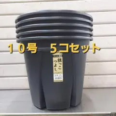 ★セットがお買い得！ 生育環境を整えるスリット構造！根っこつよし　１０号　５コのサムネイル