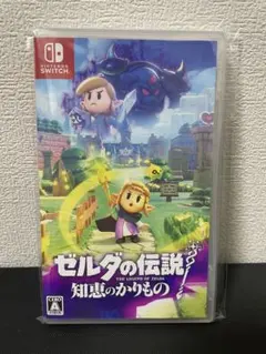 ゼルダの伝説　知恵の借り物