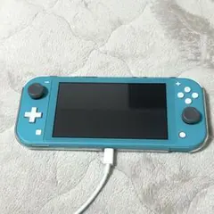 【美品】Nintendo Switch Lite ターコイズ　充電コードケース付
