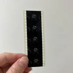 2026年最新】ギアス フィルムの人気アイテム - メルカリ